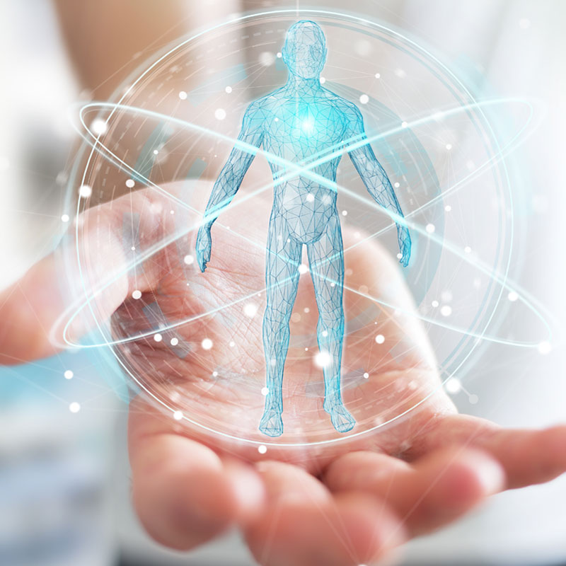 Osteopathie in Magdeburg– Körpersysteme verstehen